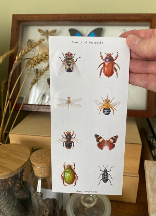Insects of Australia - 8 stickers