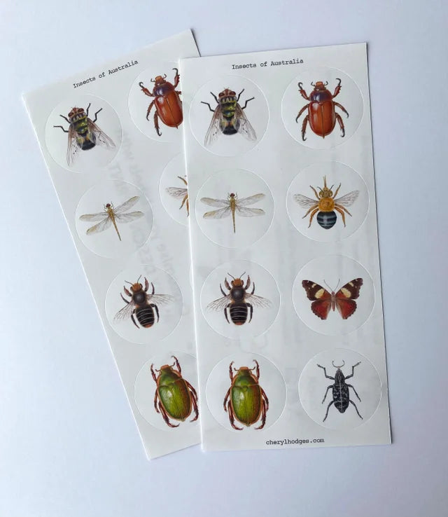 Insects of Australia - 8 stickers