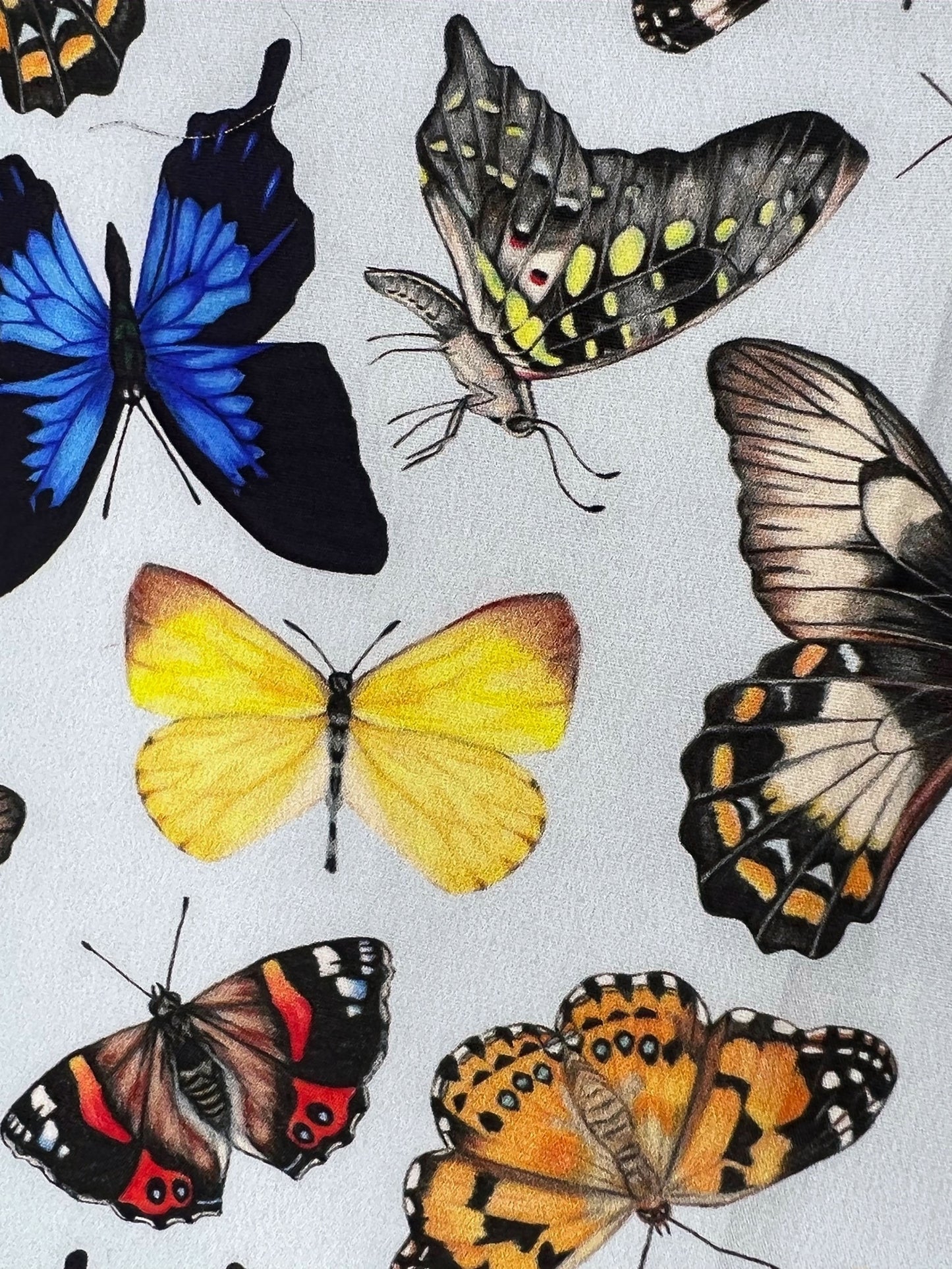 Australian Native Butterflies Facemask
