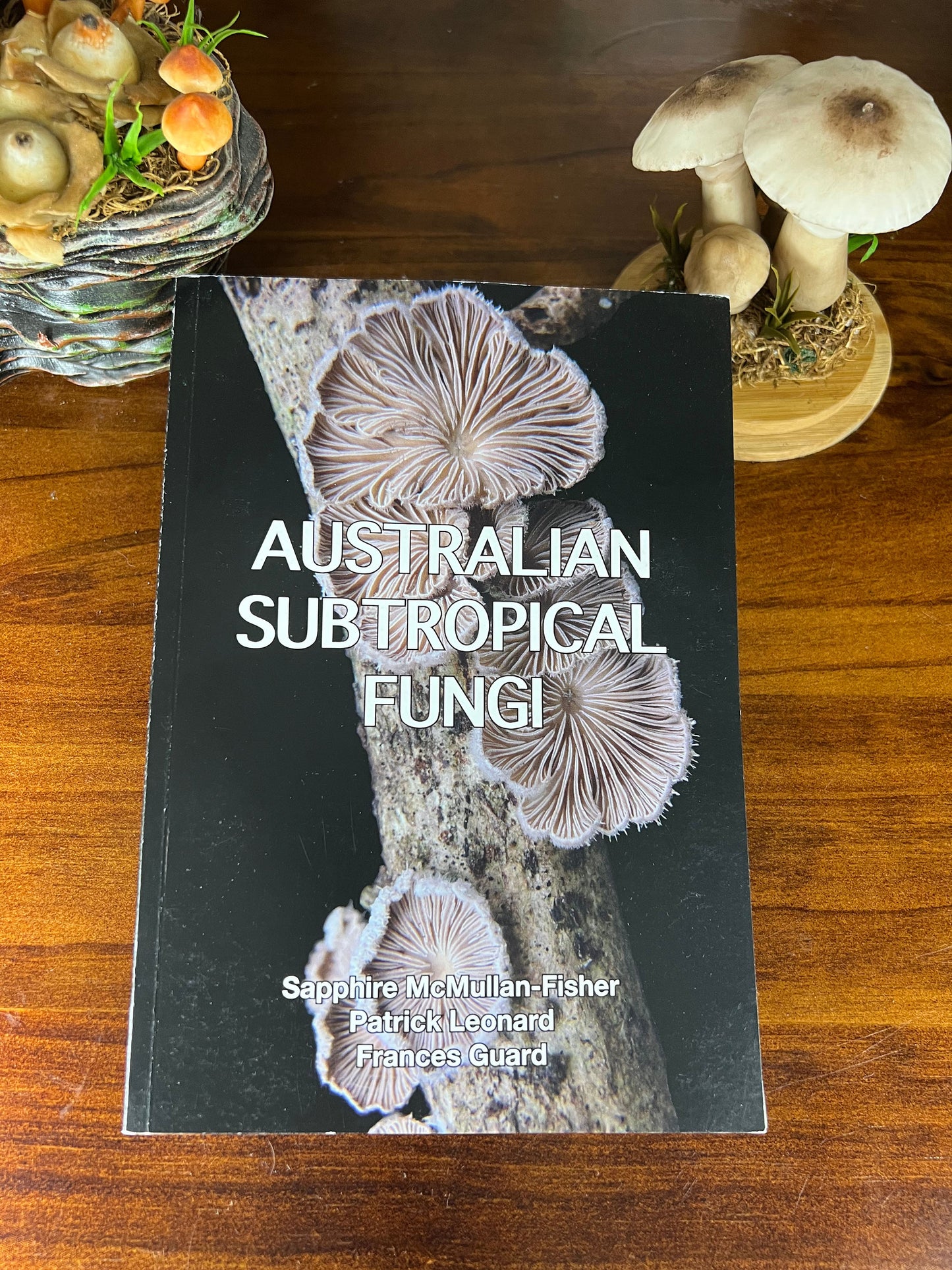 Australian Subtropical Fungi
