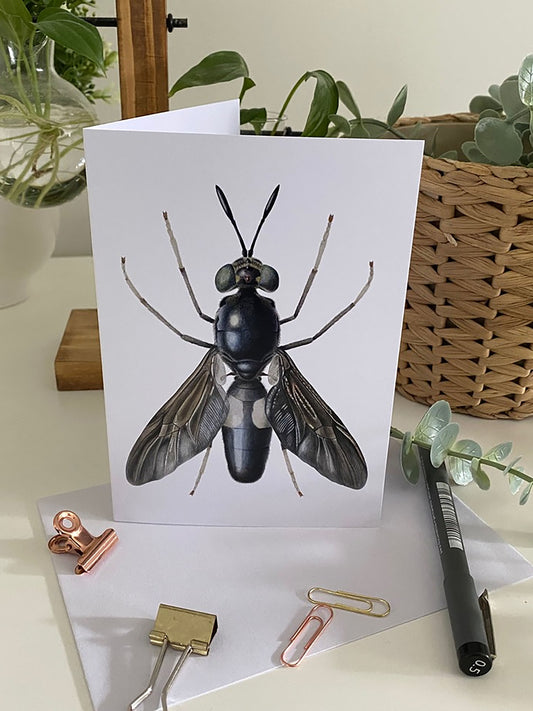 Black Soldier Fly Greeting Card