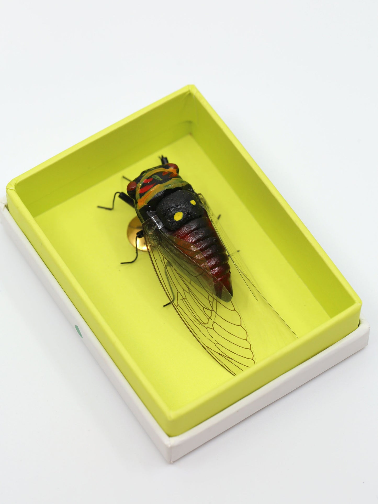 Cicada Life-Size Magnet