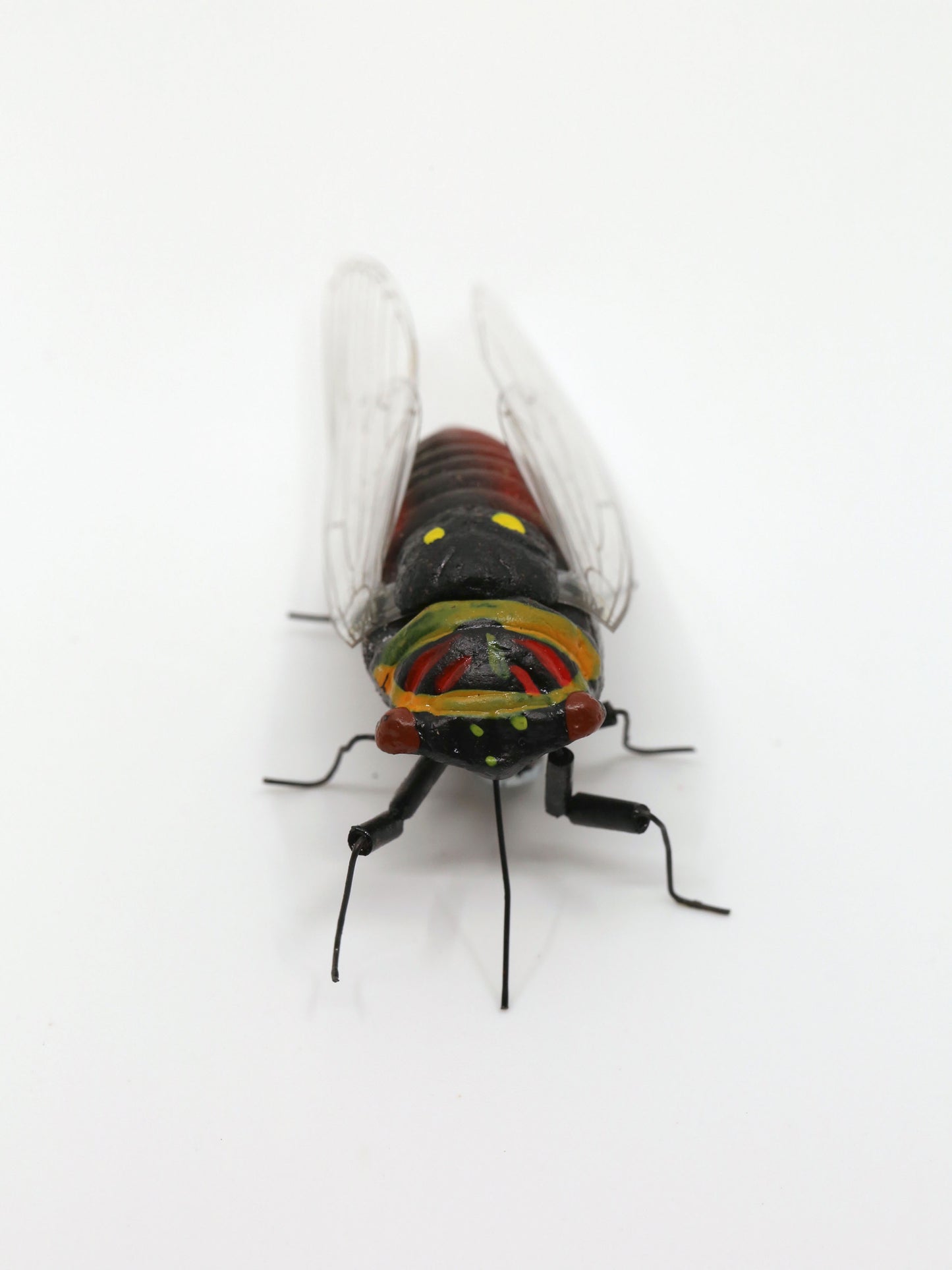 Cicada Life-Size Magnet