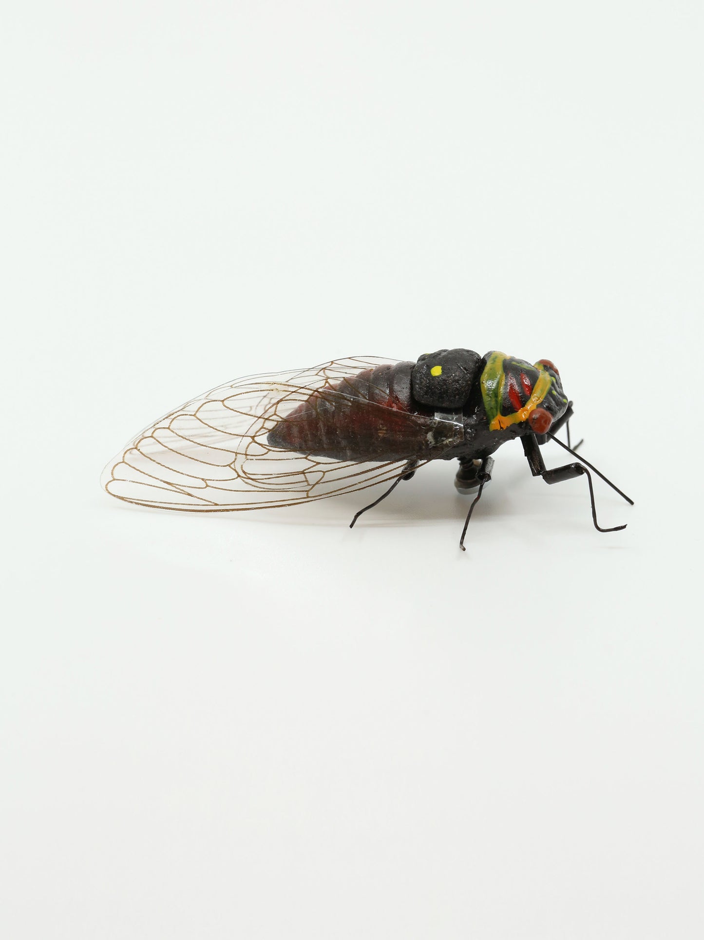 Cicada Life-Size Magnet