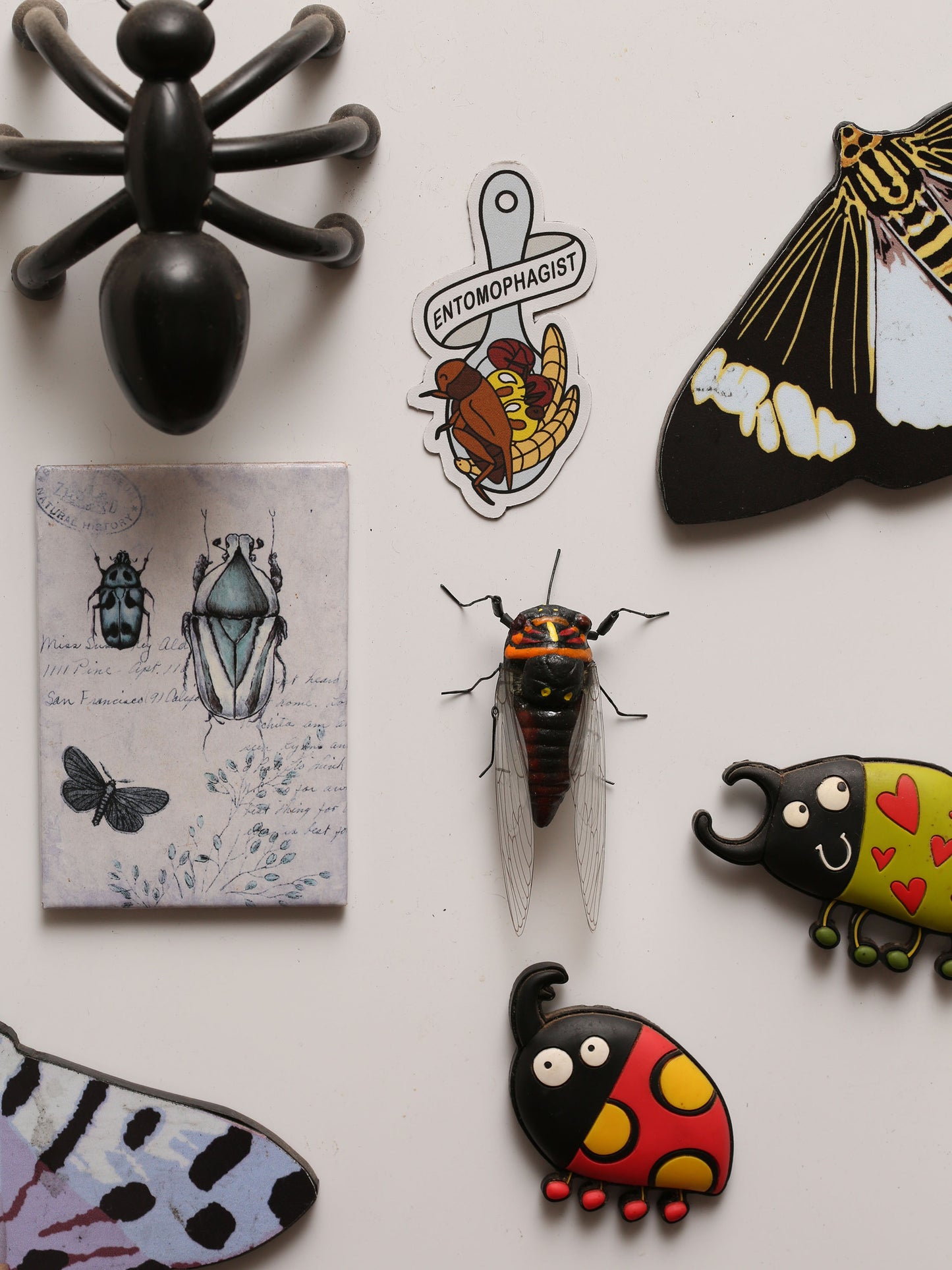 Cicada Life-Size Magnet