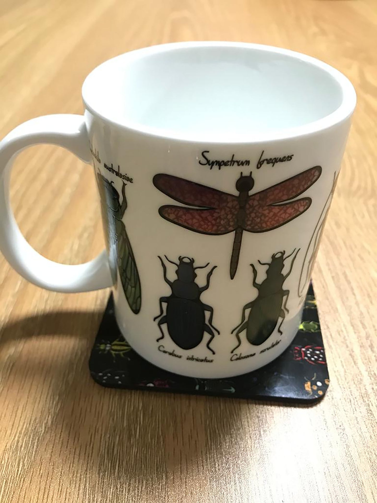 Entomology Mug