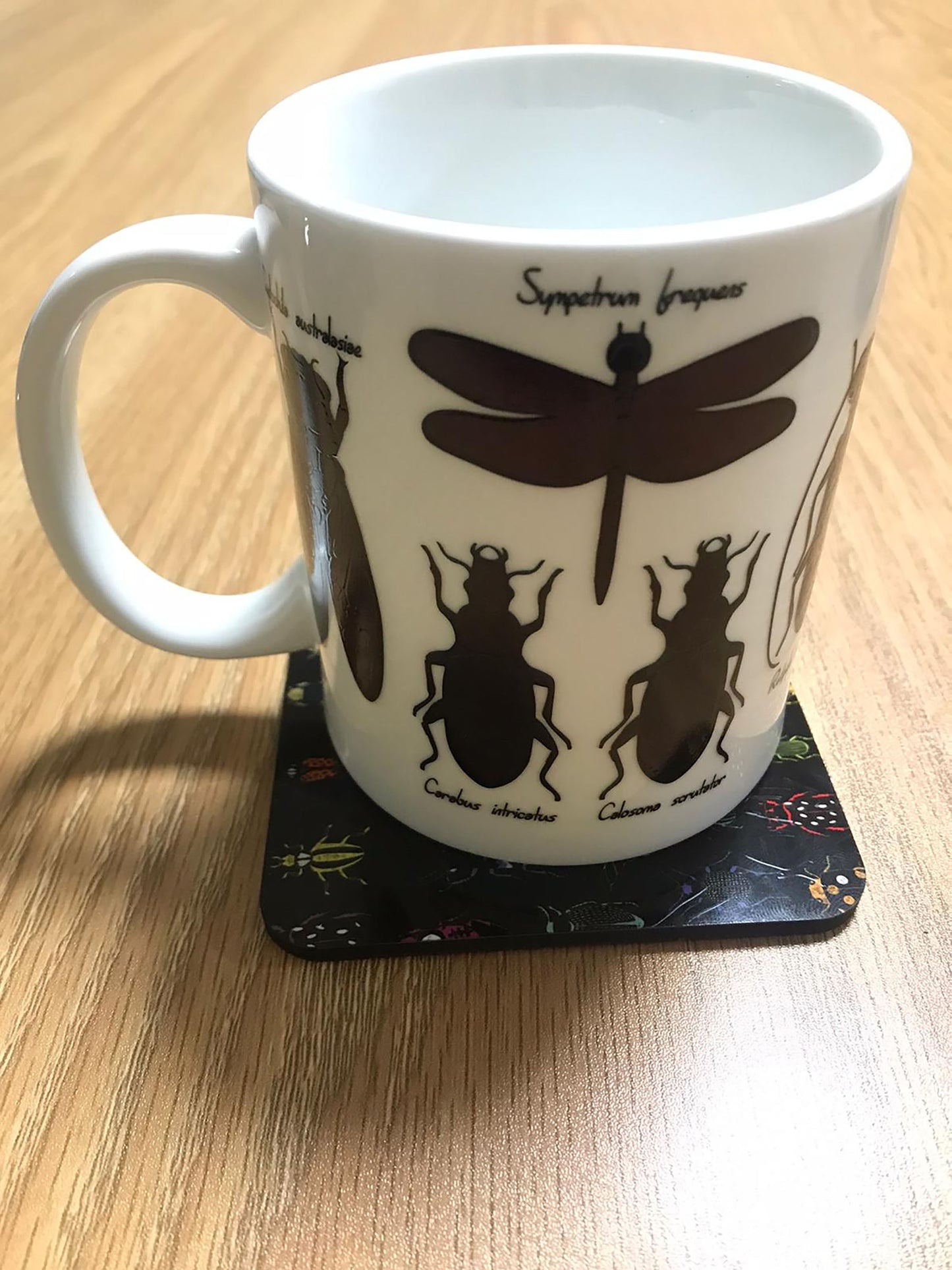 Entomology Mug