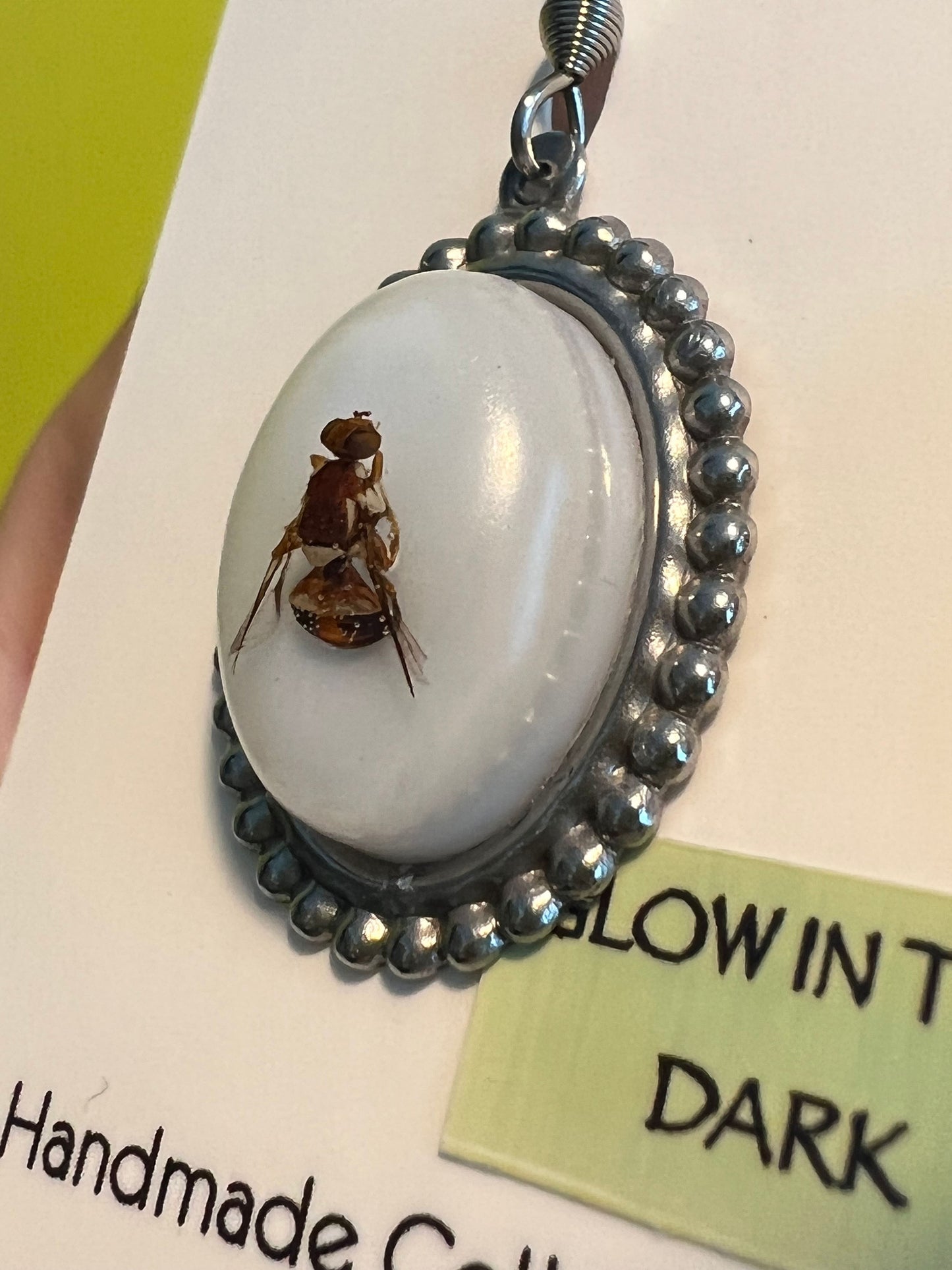 Vintage QLD Fruit Fly Earrings