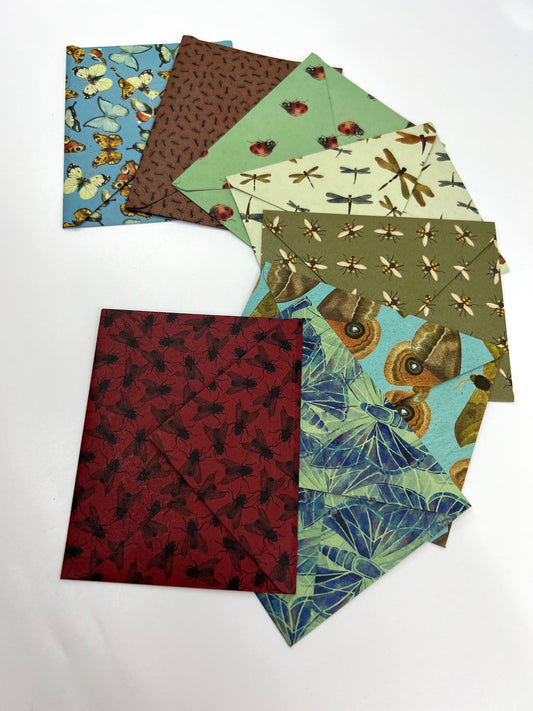 Insect Envelope with Blank Card