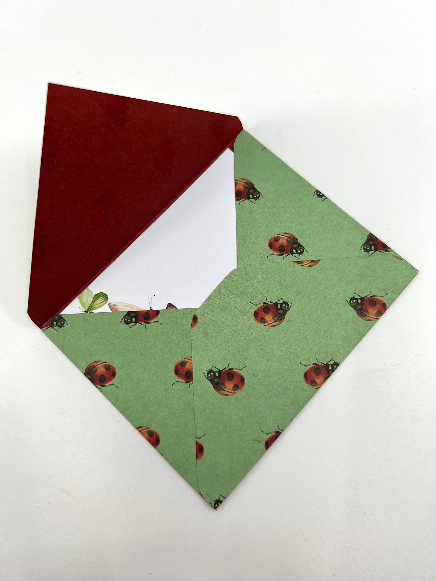 Insect Envelope with Blank Card