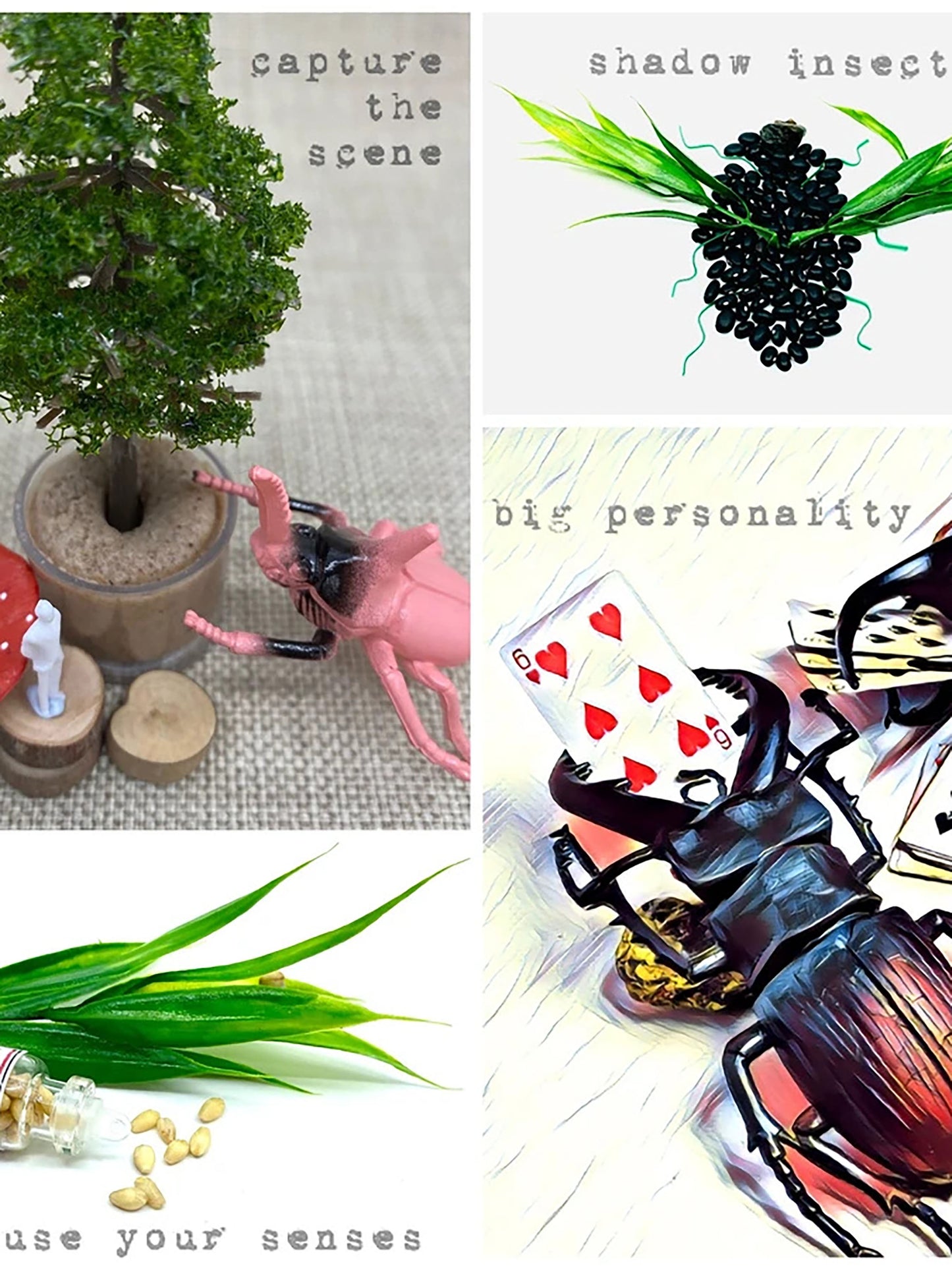 The Insect Field Kit