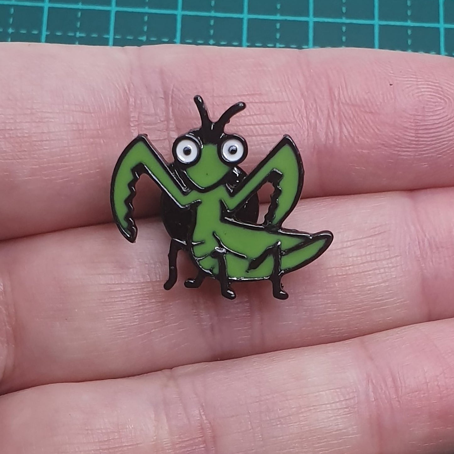 Mantis and Grasshopper Together pin