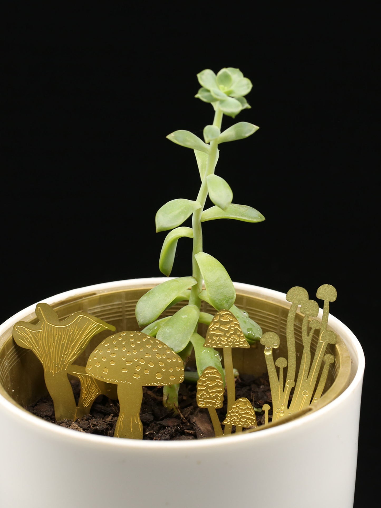 Mini Mushroom Terrarium Decoration
