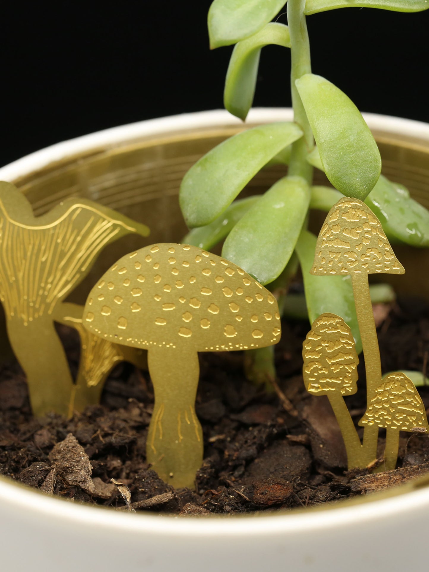 Mini Mushroom Terrarium Decoration