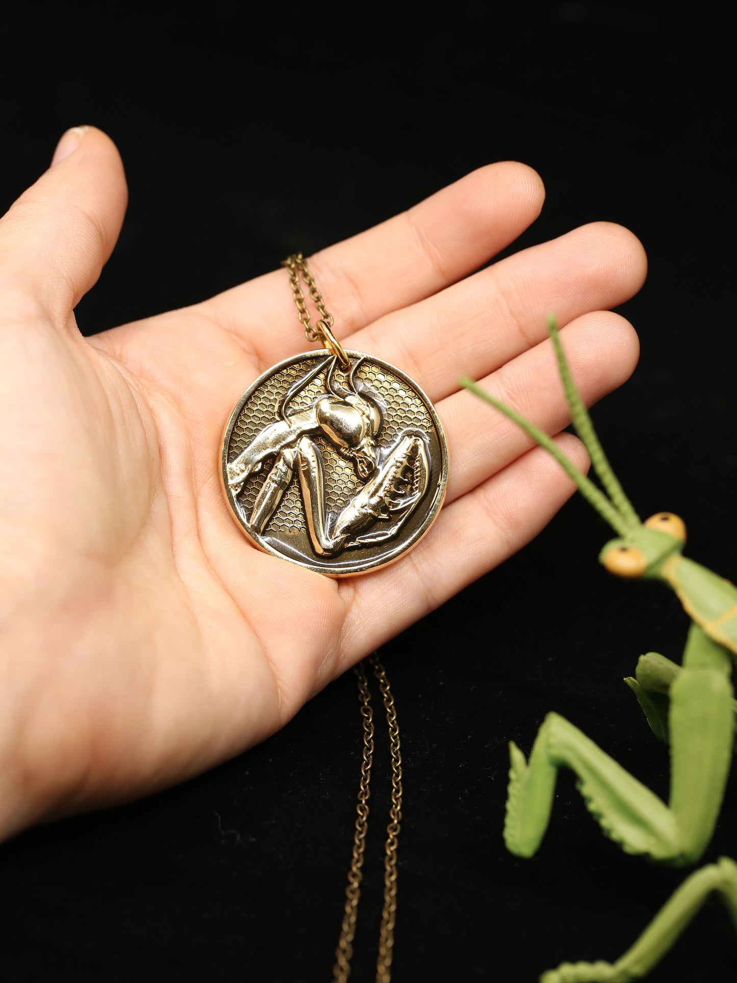 Praying Mantis Medallion