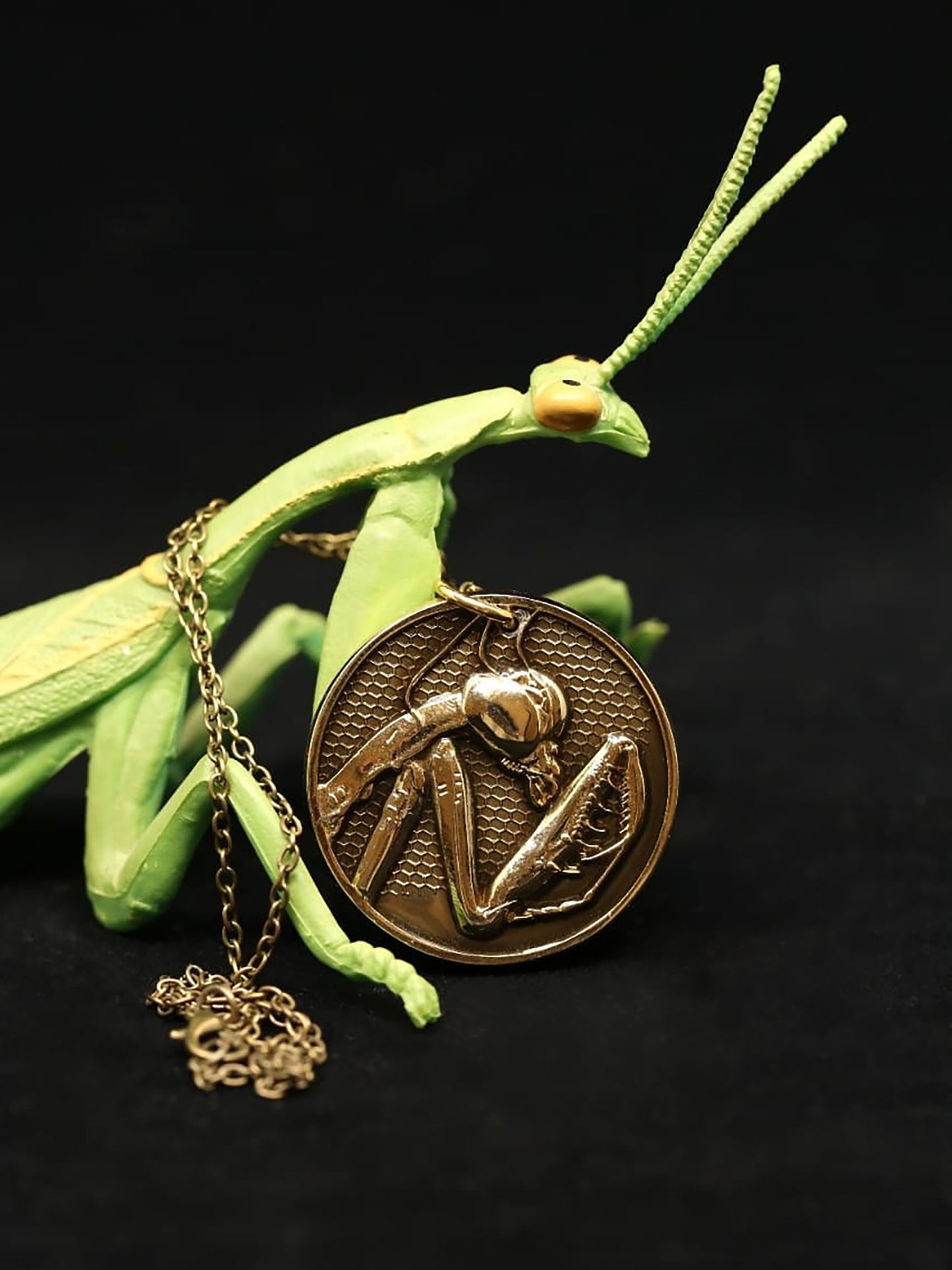 Praying Mantis Medallion