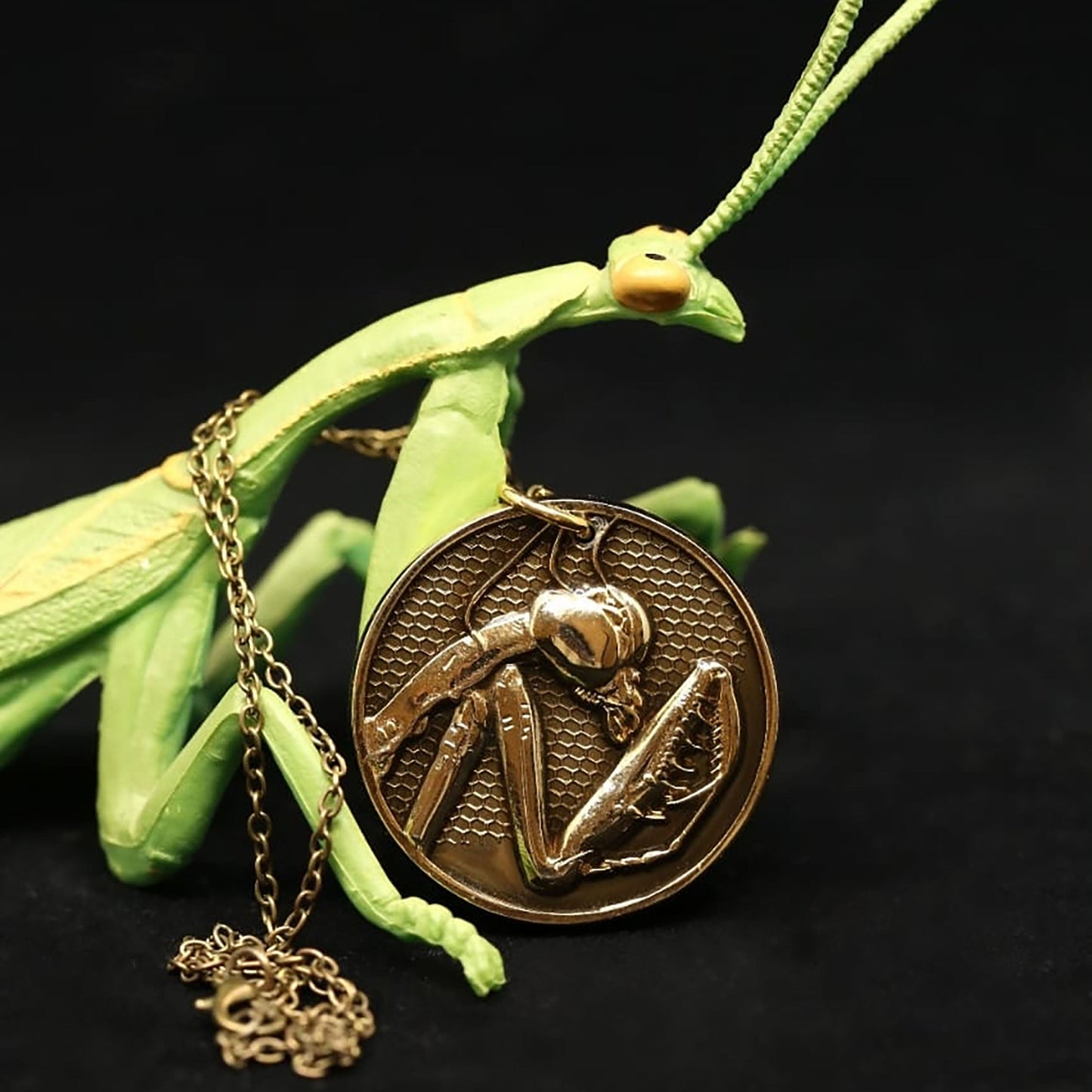 Praying Mantis Medallion