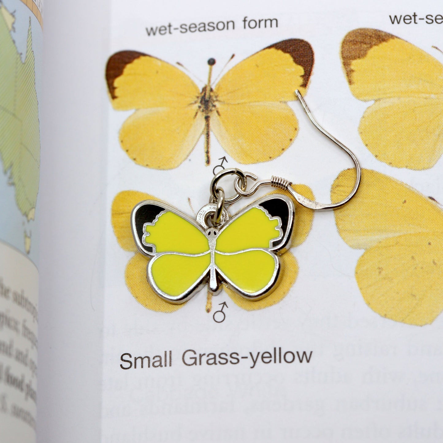 Small Grass - Yellow Butterfly Earrings - Sterling Silver