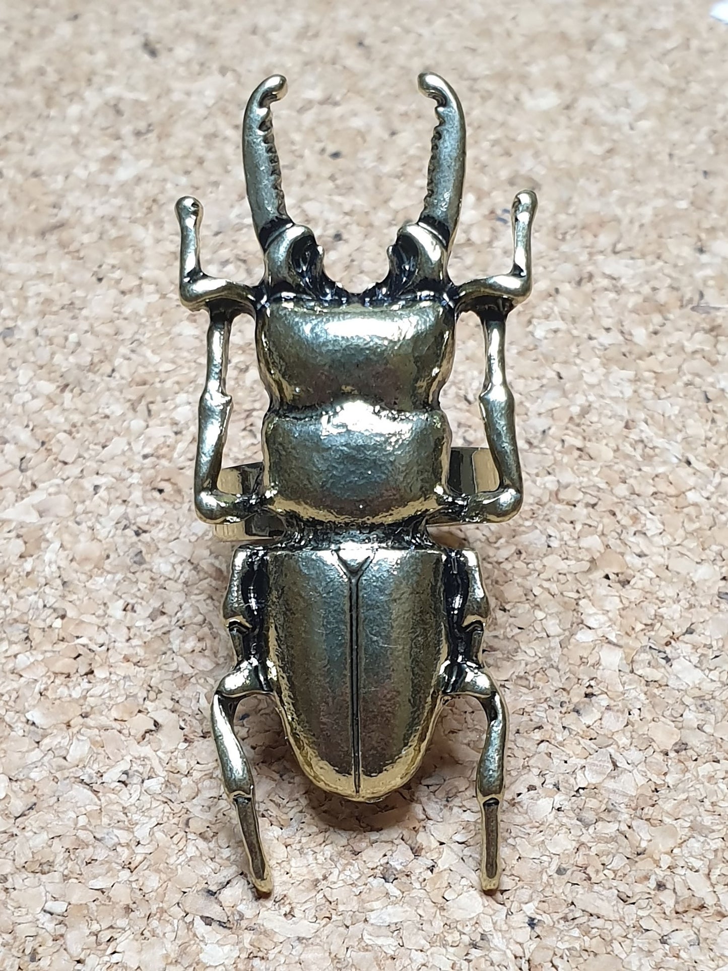 Stag Beetle Ring - Adjustable