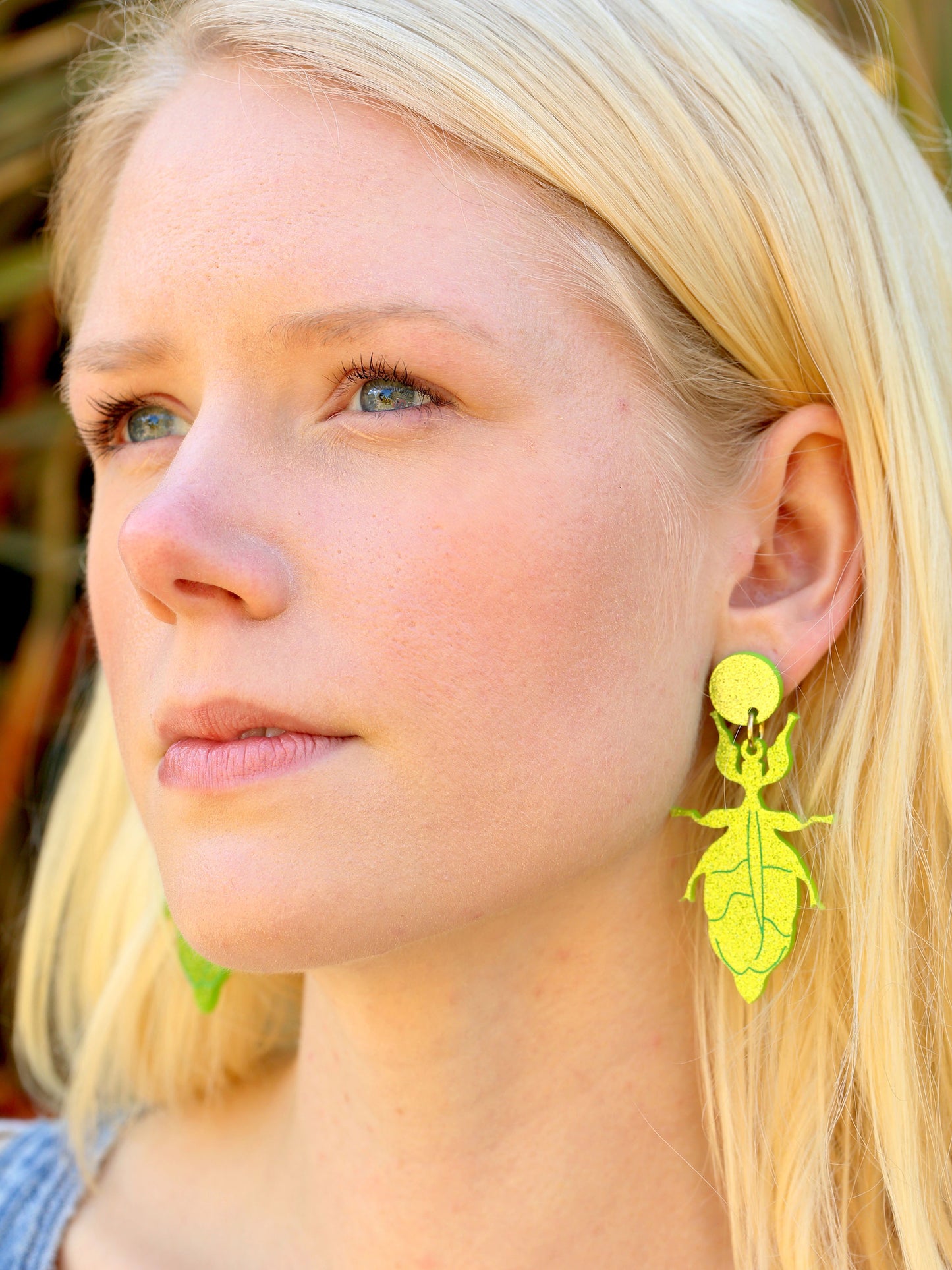 Monteith's Leaf Insect Dangles