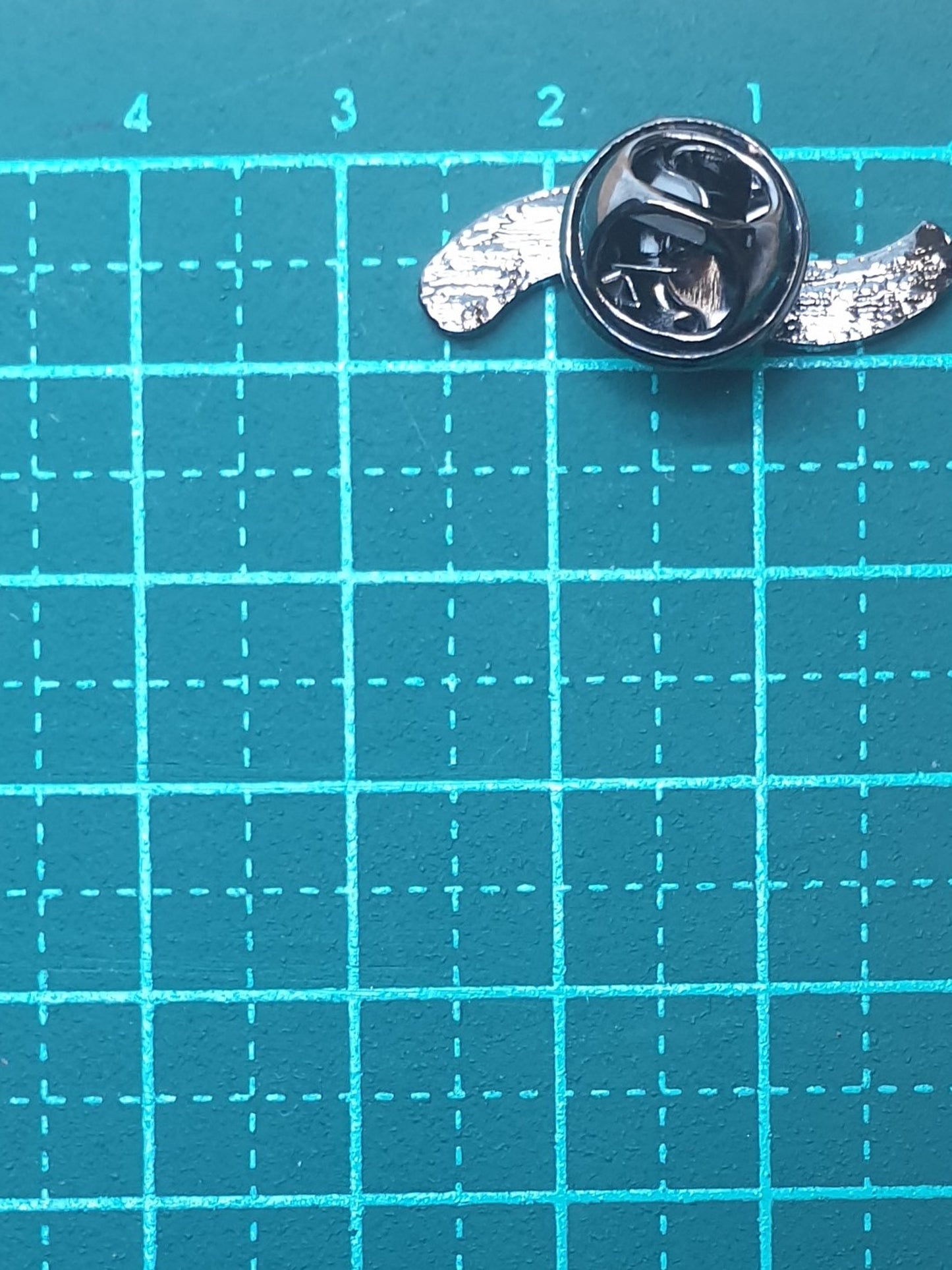Rainbow Grub cartoon pin
