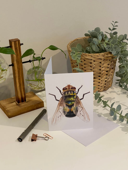 Bristle Fly Greeting Card