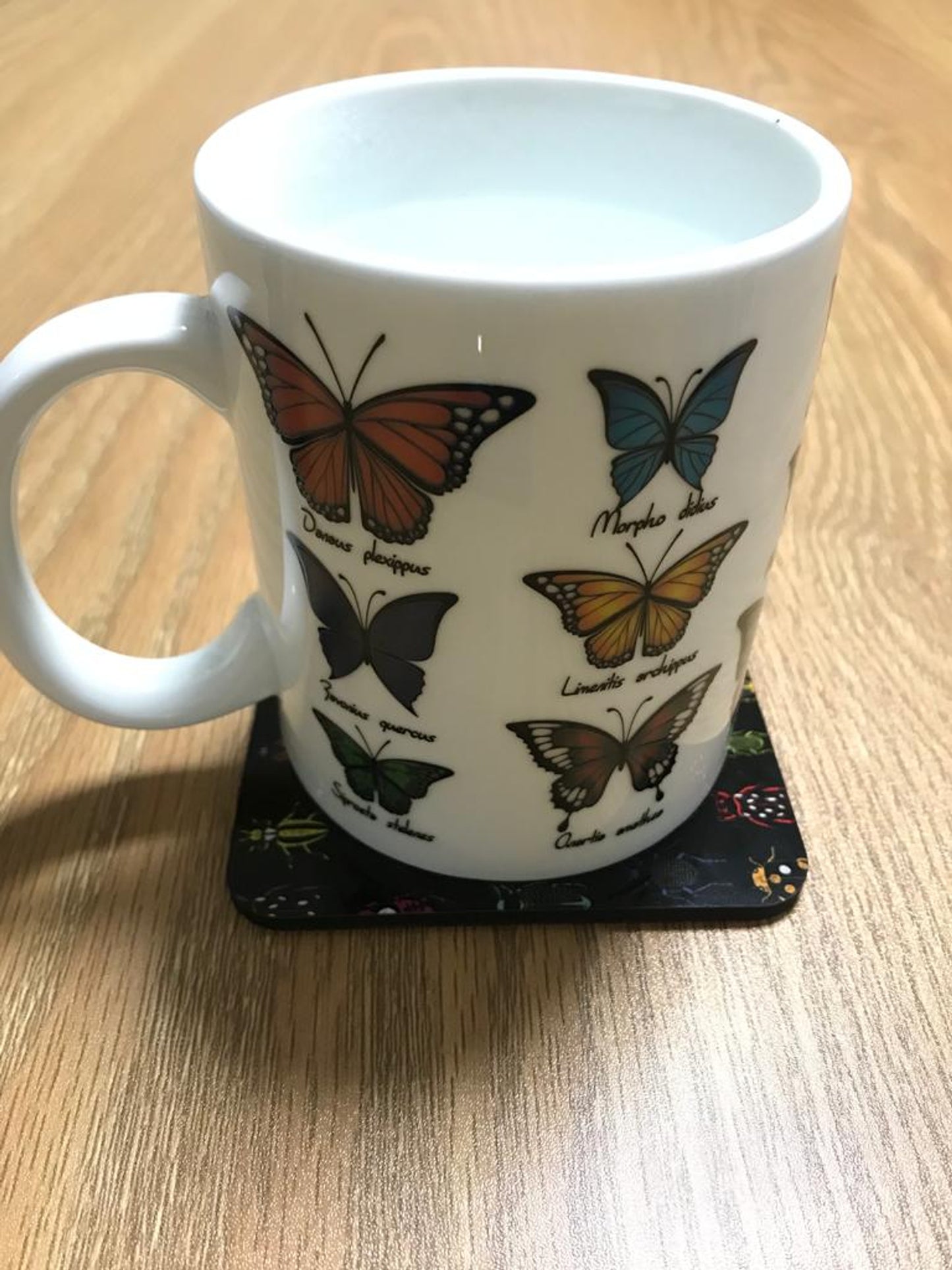 Lepidopera Mug