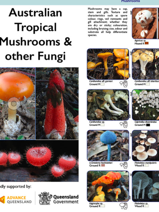 Australian Tropical Mushroom & other Fungi Field Guide