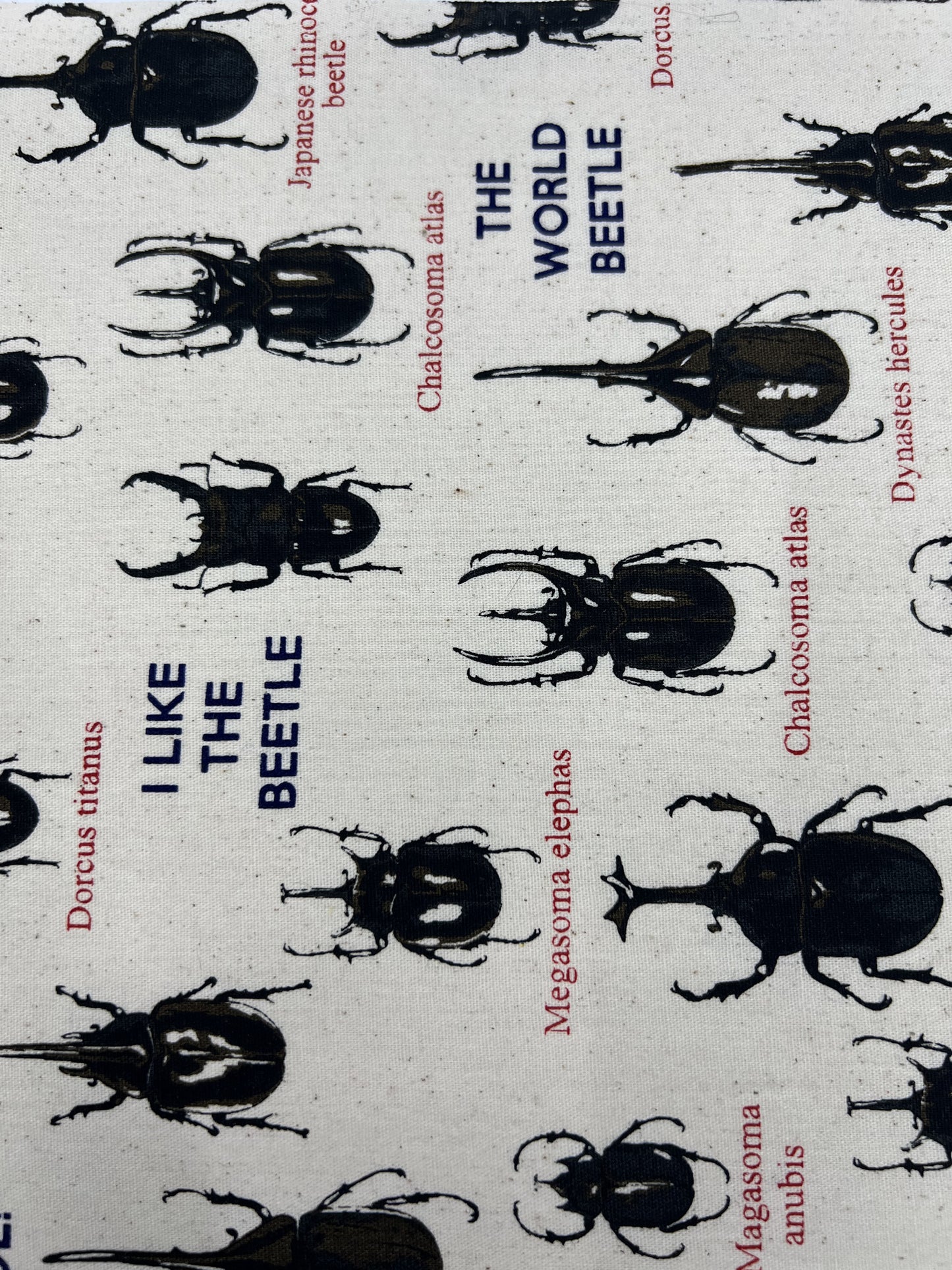 Love Beetles in White Face Mask