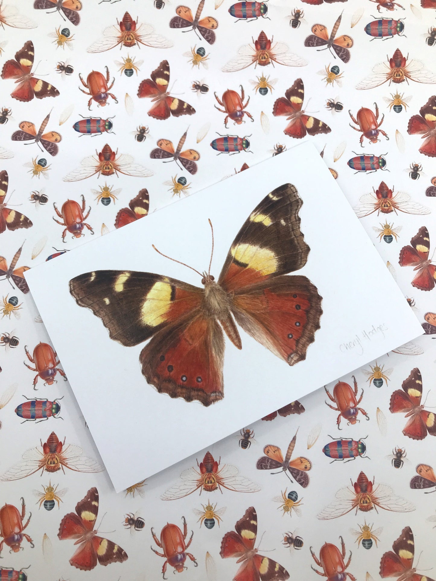 Yellow Admiral Butterfly Greeting Card