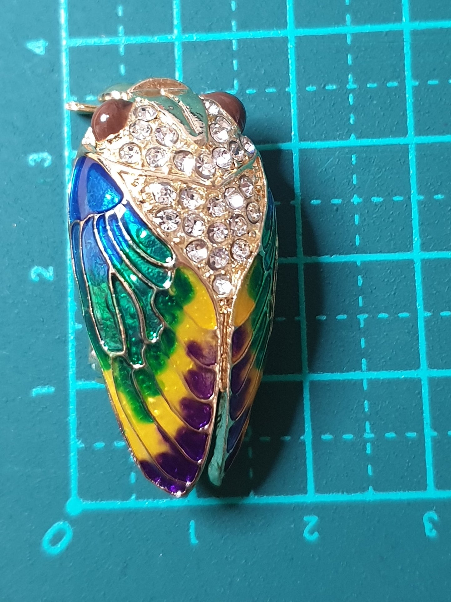 Cicada Fashion Brooch - Brown eyes