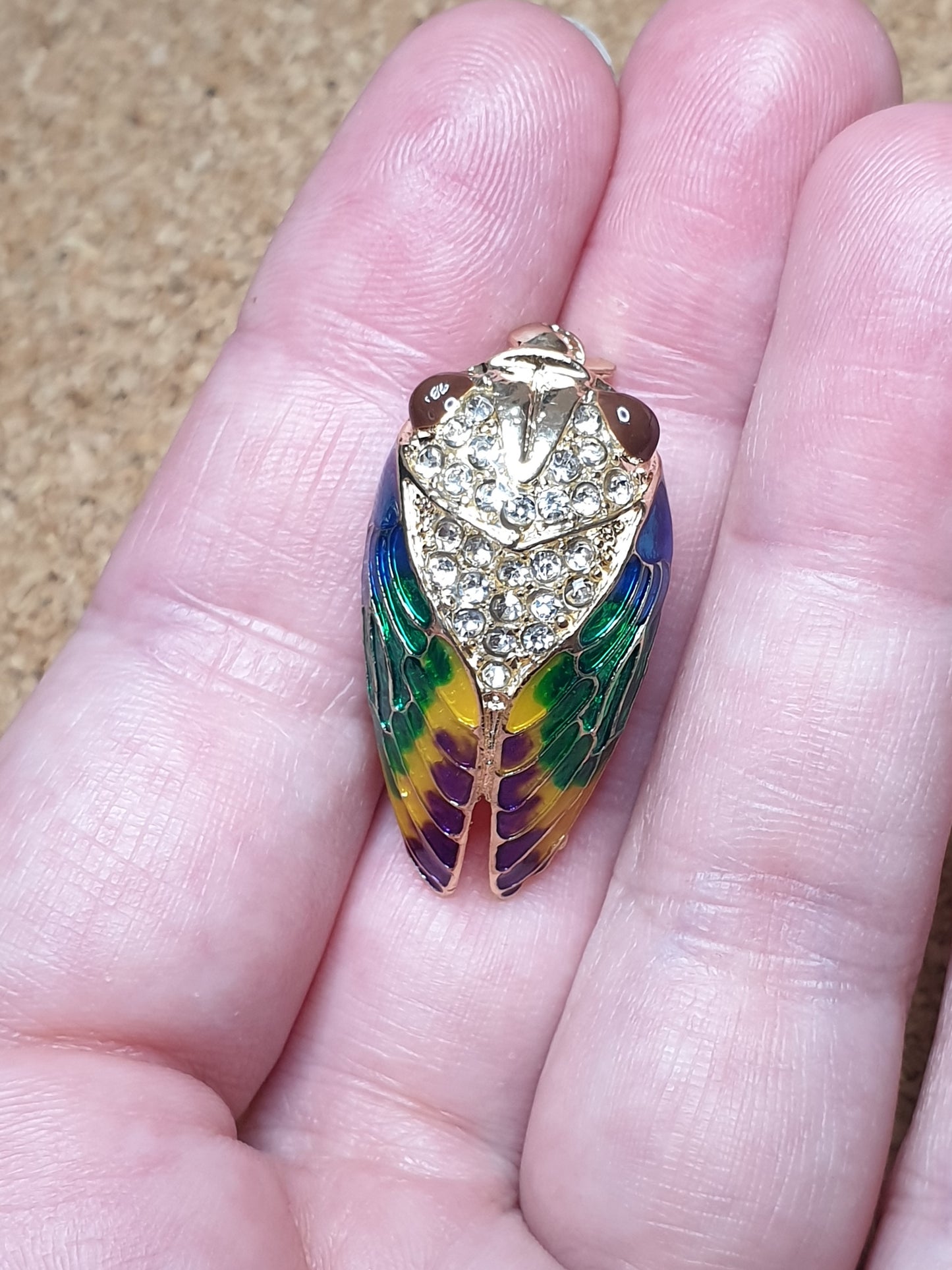 Cicada Fashion Brooch - Brown eyes