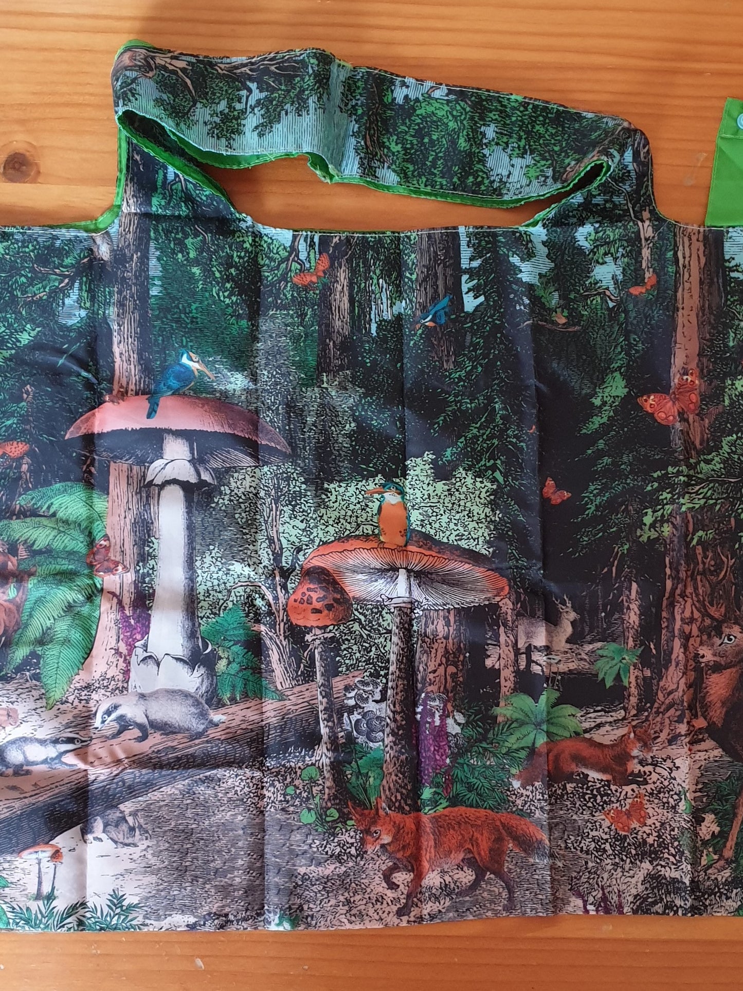 Mushroom Carrybag