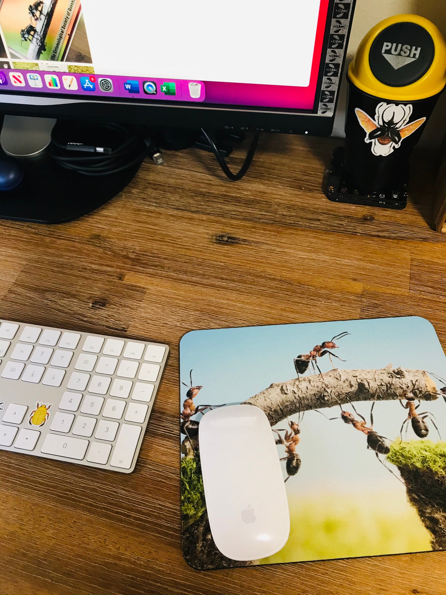 Ants Mouse Pad