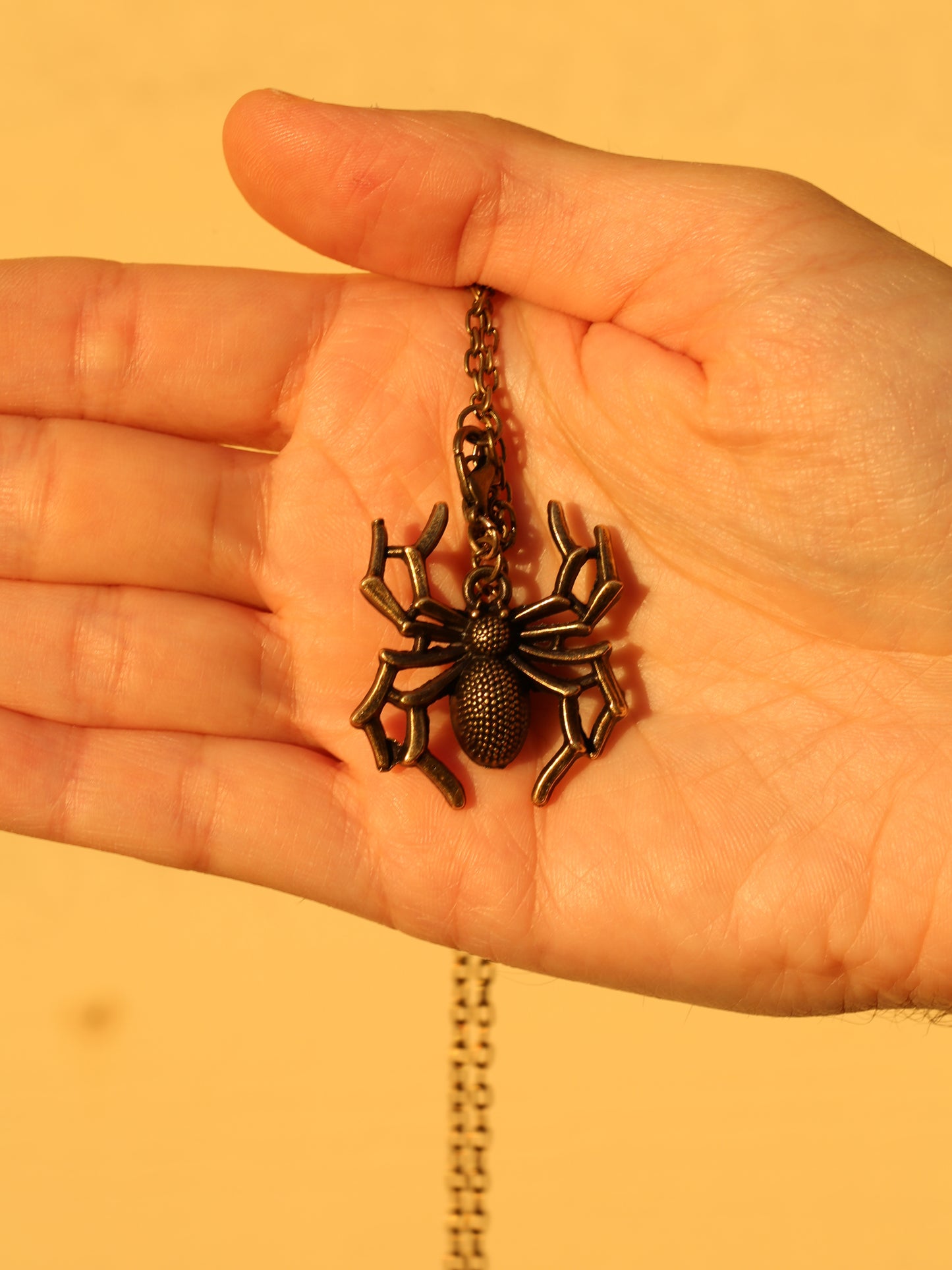 Spider bronze necklace