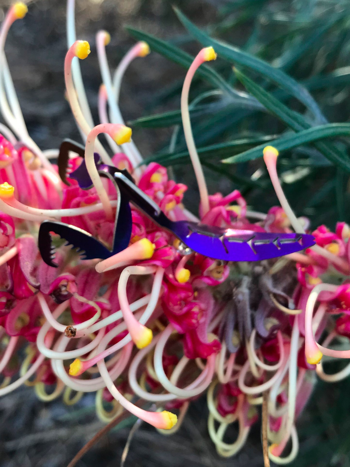 Titanium Mantis Studs