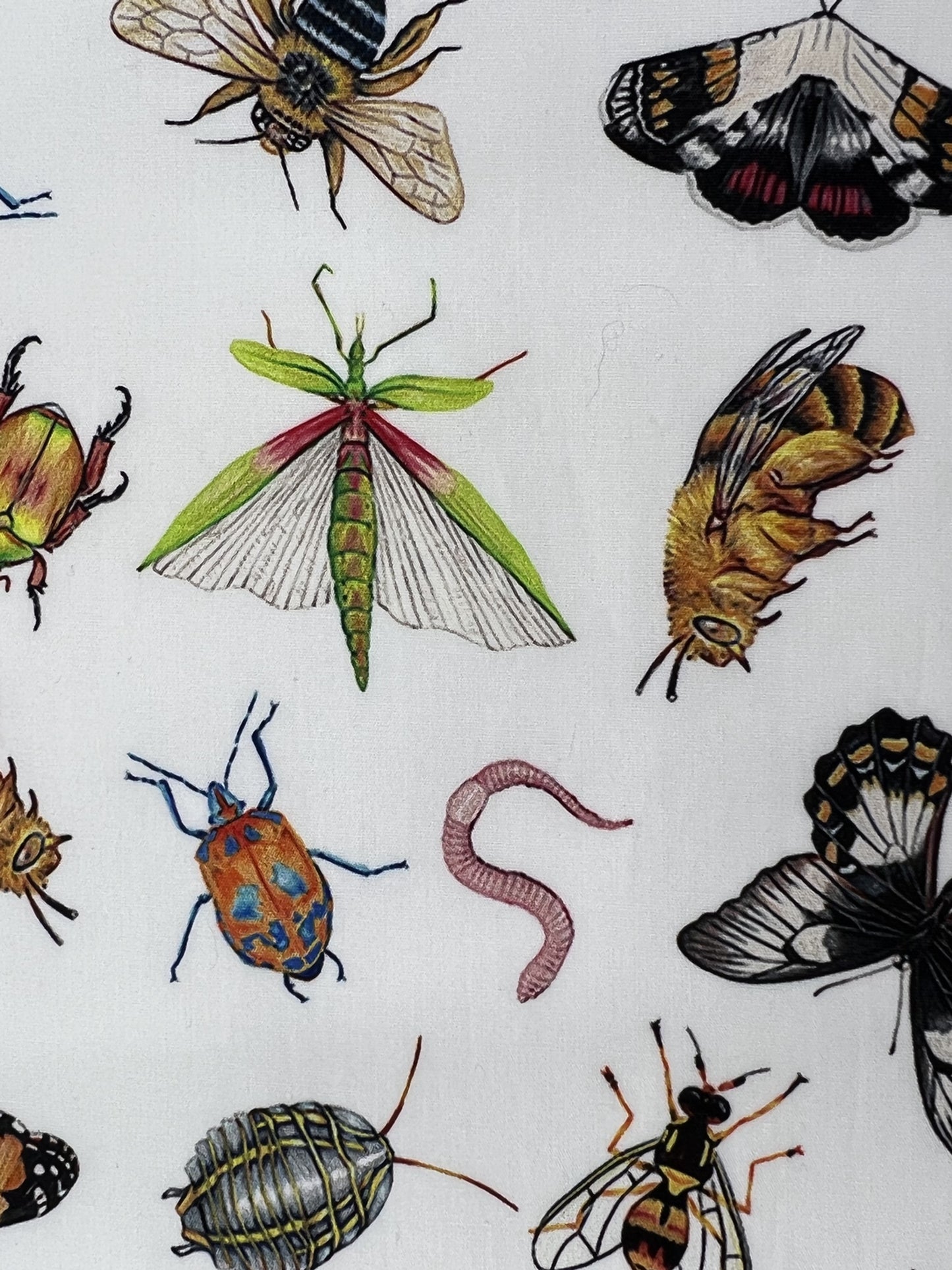 Australian Native Insects in White Face Mask