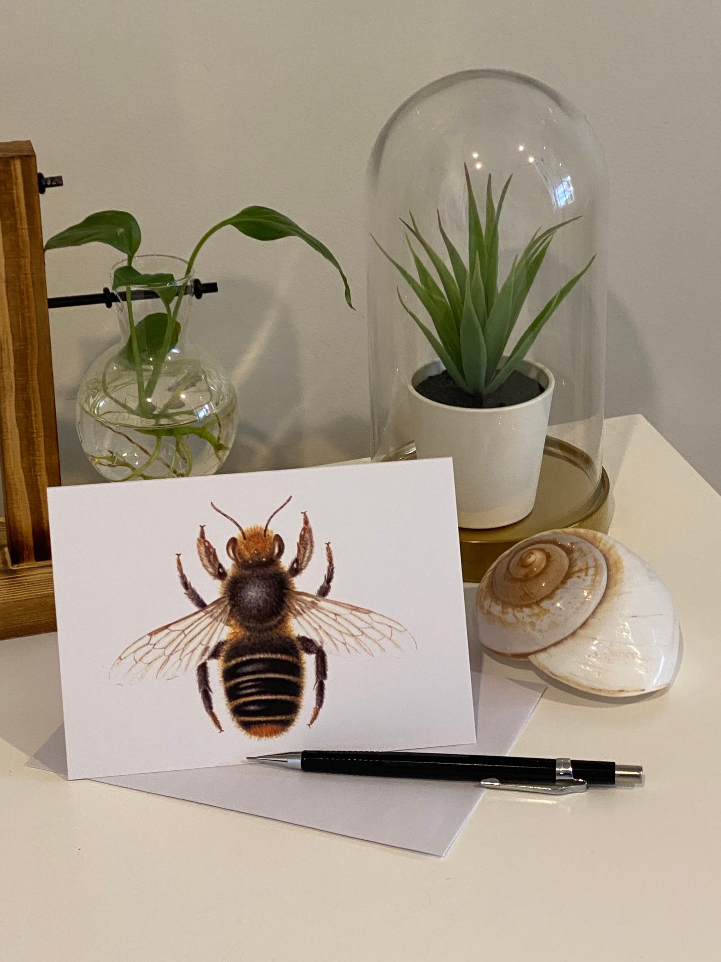 Leafcutter Bee Greeting Card