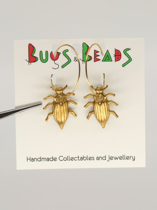 Stylish beetles on a loop