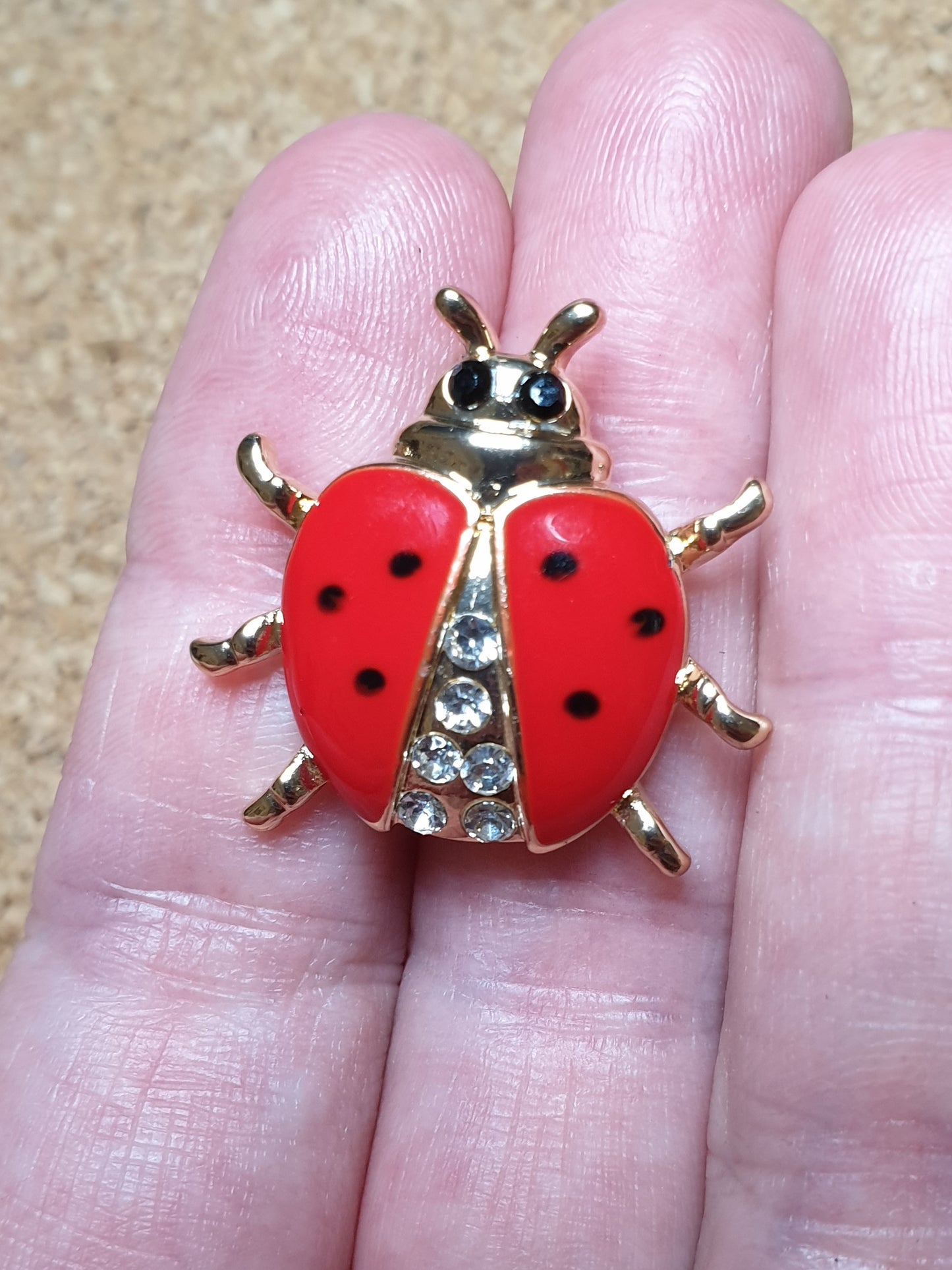 Ladybird Beetle Fashion Brooch - Small