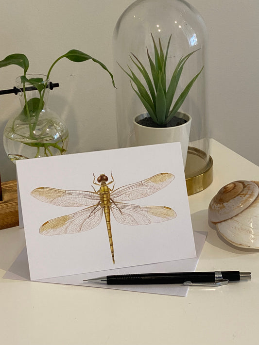 Blue Skimmer Dragonfly Greeting Card