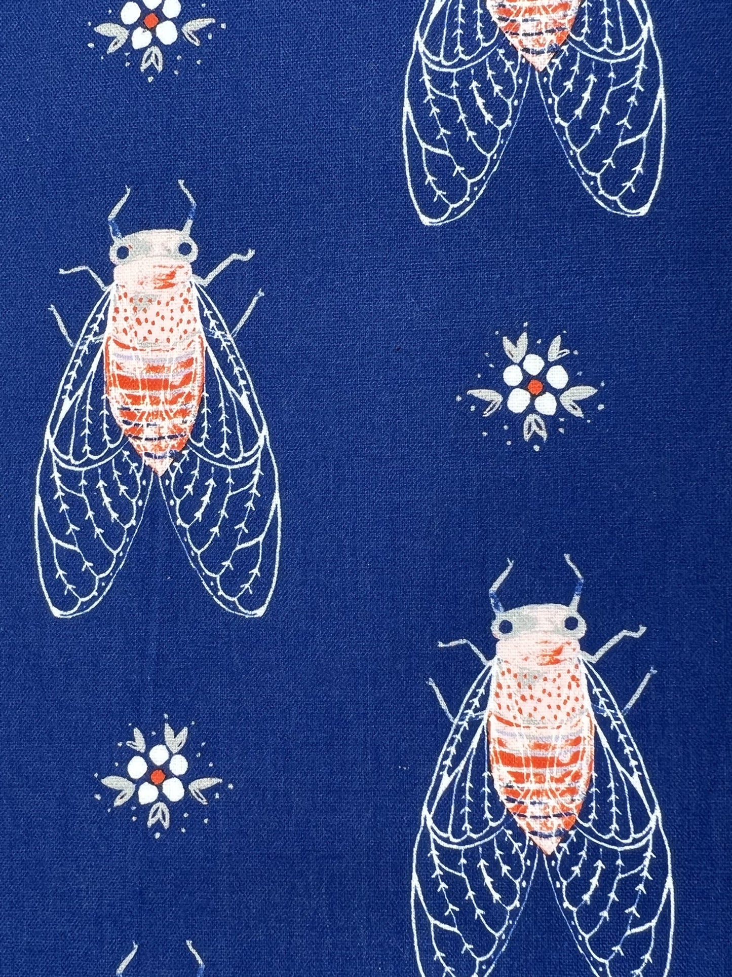 Cute cicadas Face Mask