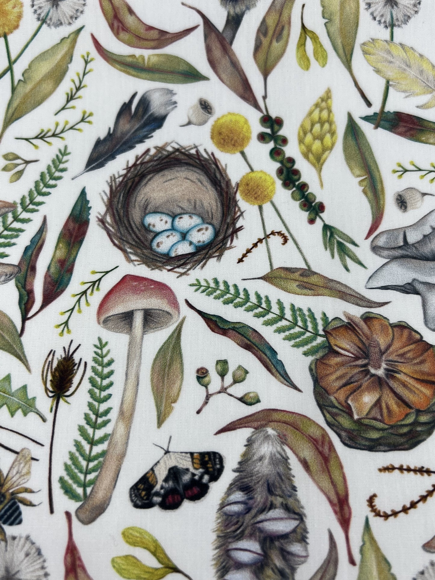 Banksia, Mushrooms and eggs in white Face Mask