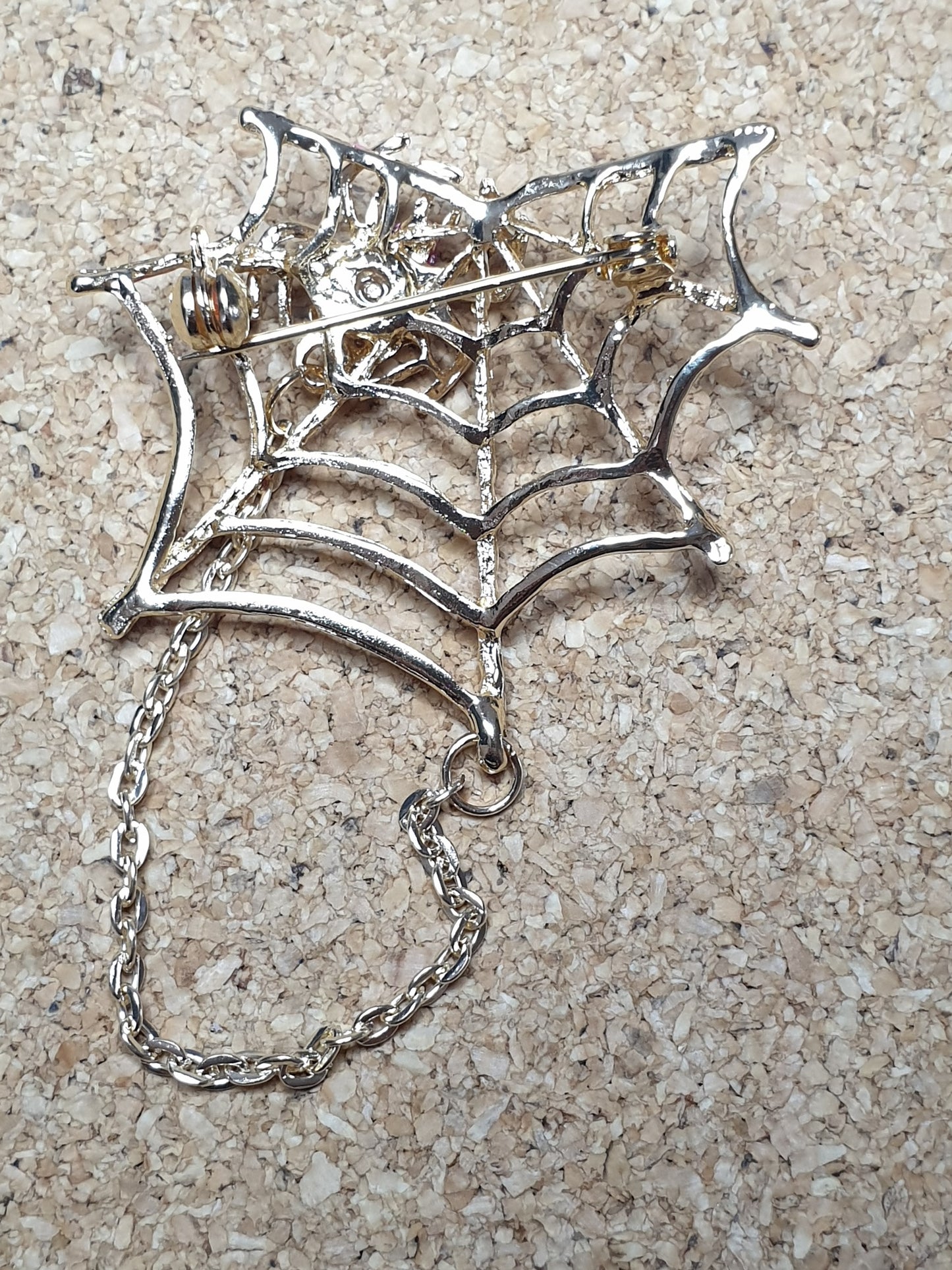 Spider on Web Brooch