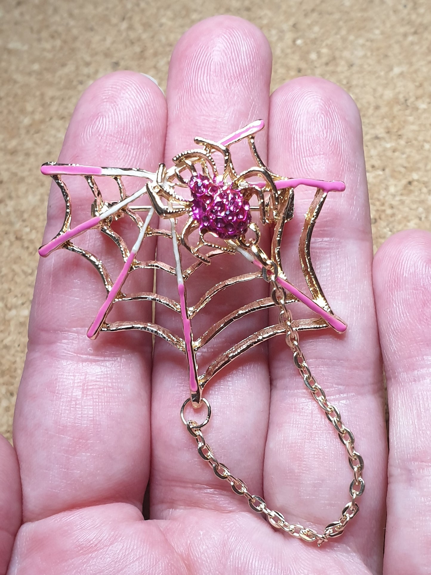 Spider on Web Brooch