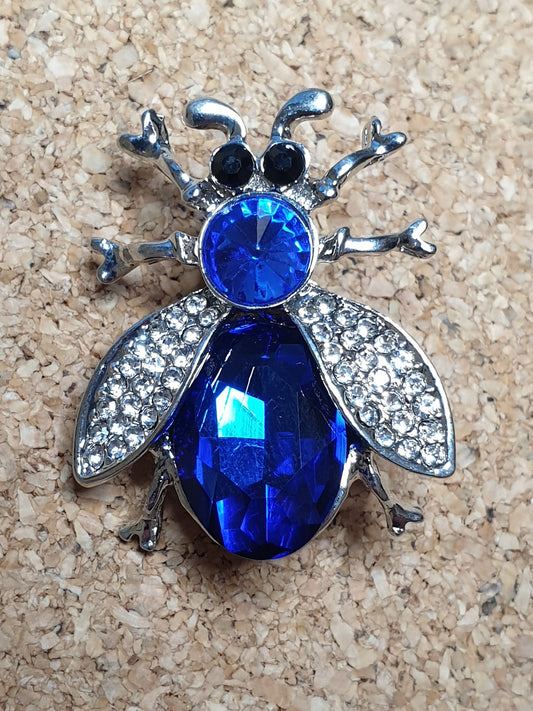 Shiny Beetle Brooch