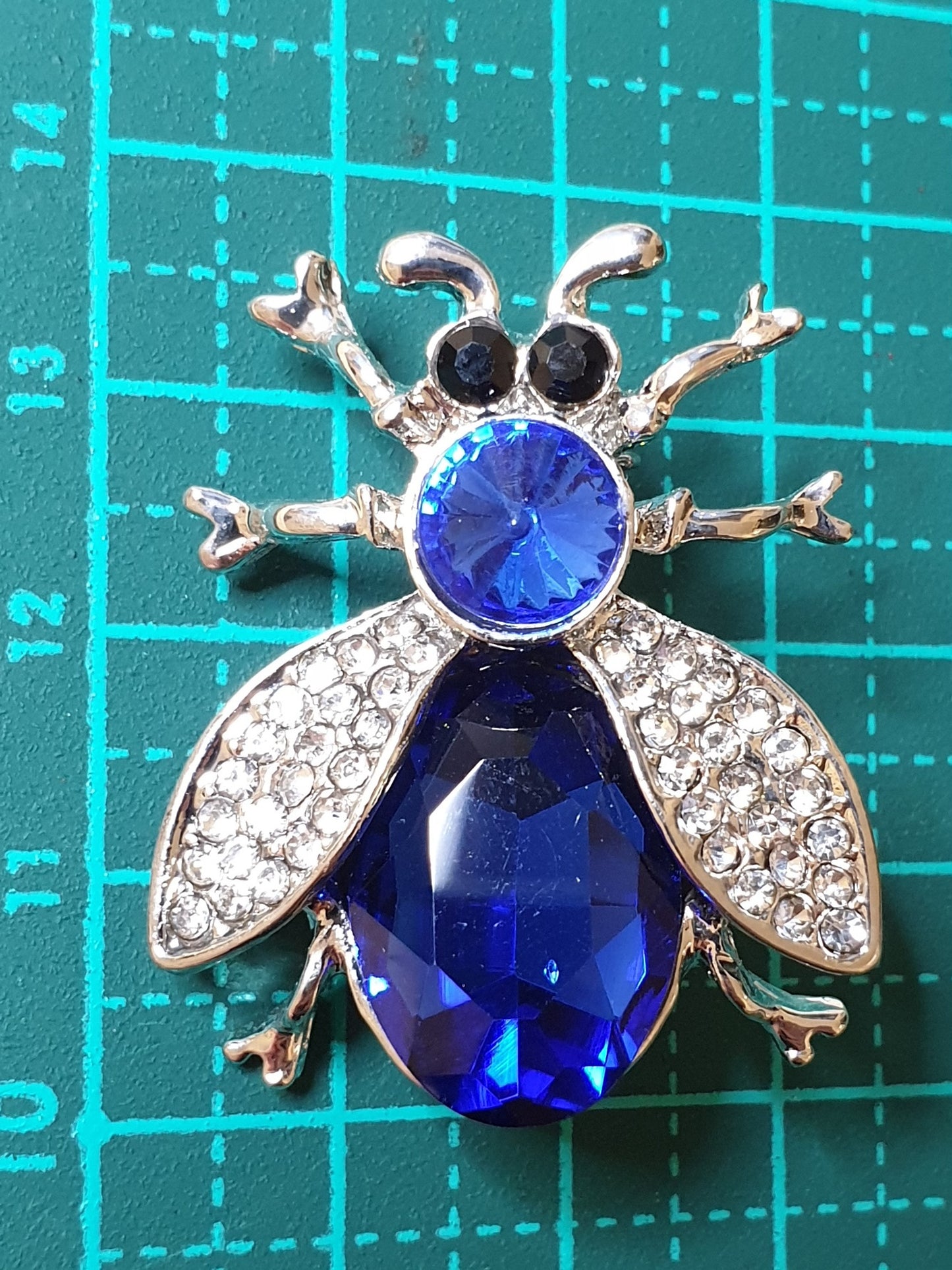 Shiny Beetle Brooch