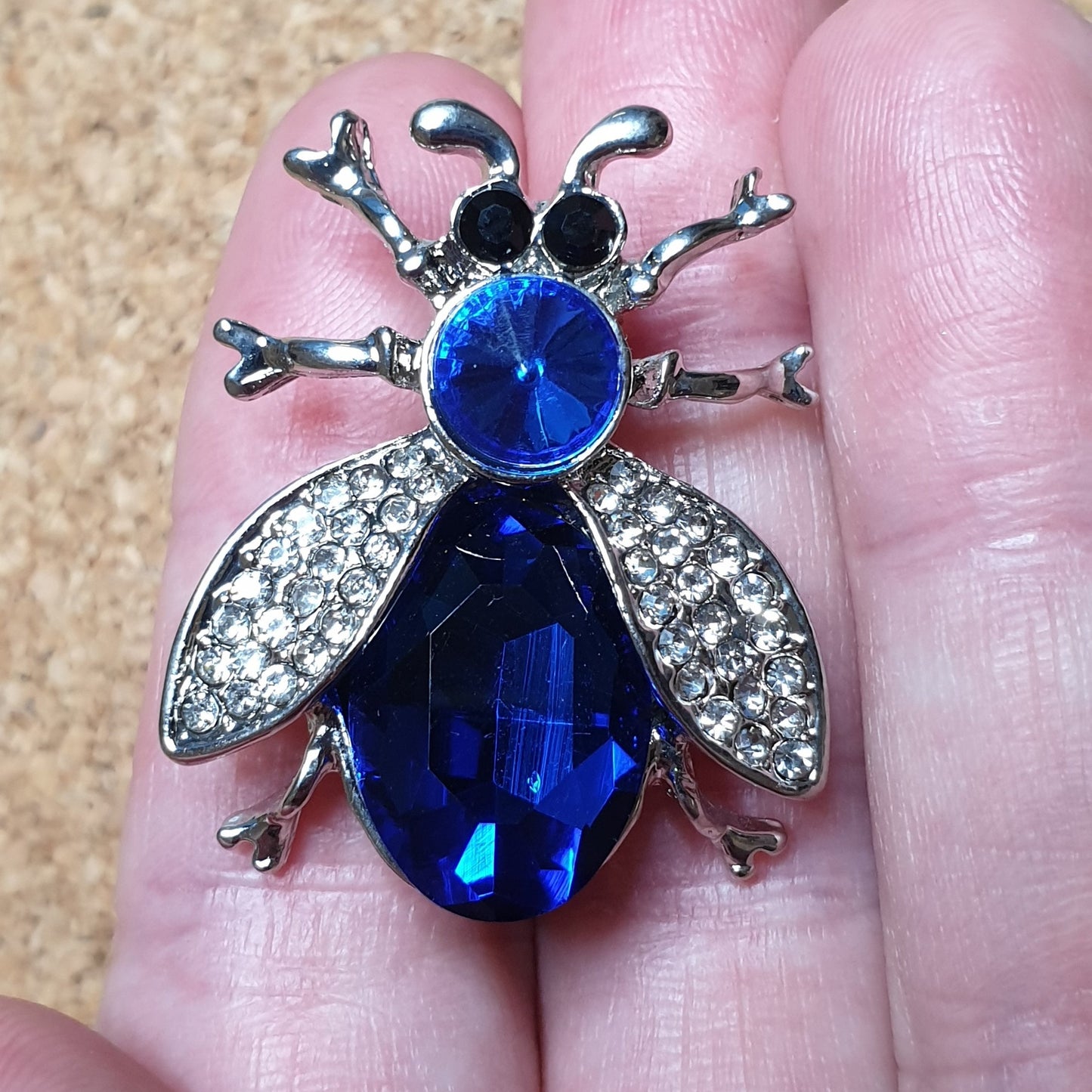 Shiny Beetle Brooch