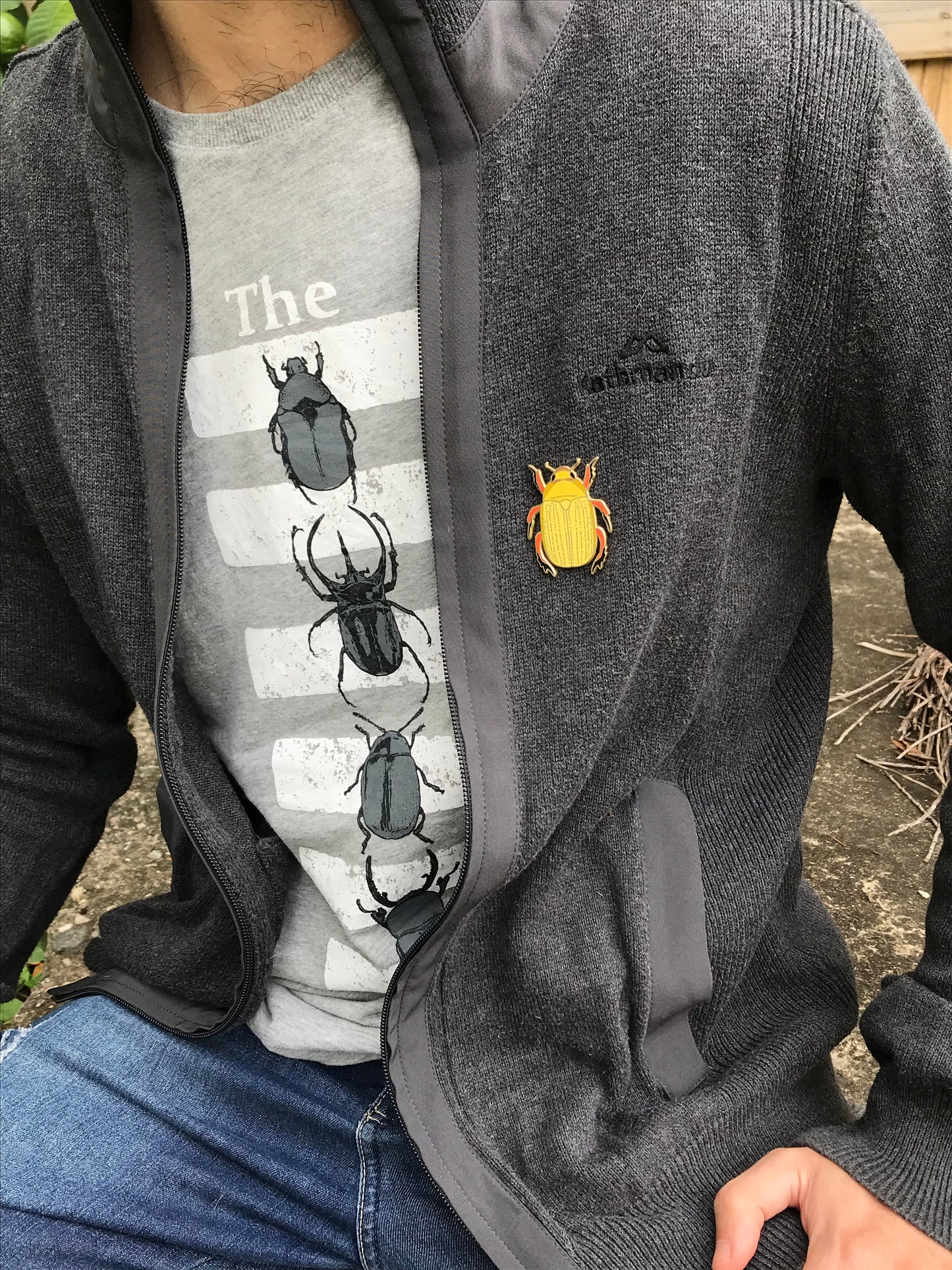 Christmas Beetle Pin