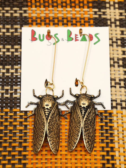 Cicada earrings - Brass & stainless steel